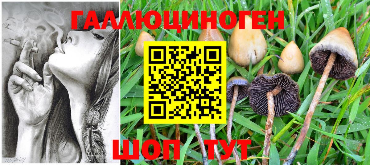 Галлюциногенные грибы Magic Shrooms  Галлюциногенные грибы прущие грибы  Янаул  купить наркотик  Вход с VPN 